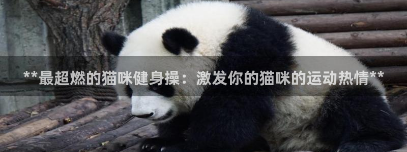 龙8国际官网版手机版