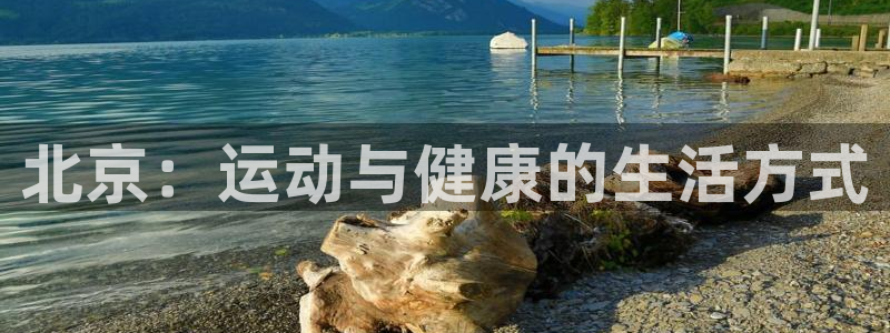 龙8国际老虎机游戏