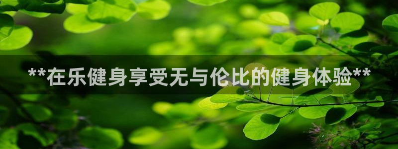 龙八国际官方网站app登录