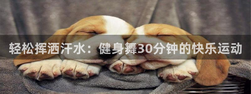 龙8国际的官方网站