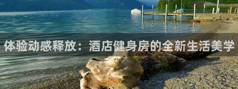 龙8国际被侦破了吗