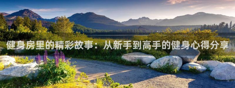 龙八国际app下载客户端