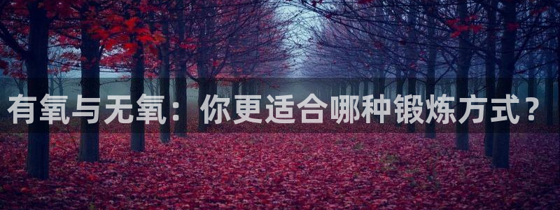 国际龙8官网pt客户端