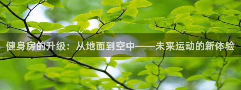龙8国际官网多少
