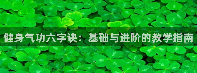 龙八国际登录密码