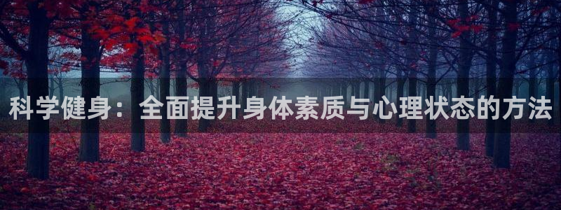 龙8国际官方网站手机版